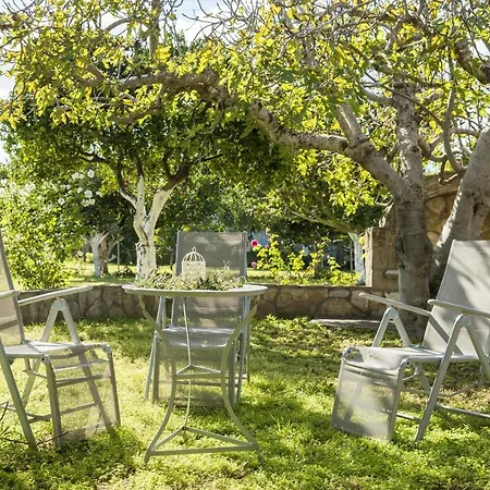 Daire One Bedroom Appartement With Enclosed Garden And Wifi At Agios Andreas Agios Andreas (Messenia)